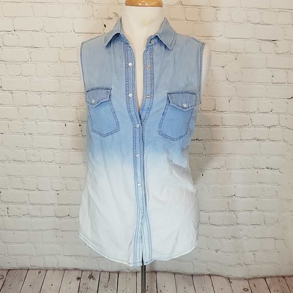 Paper Crane dark to light sleeveless top